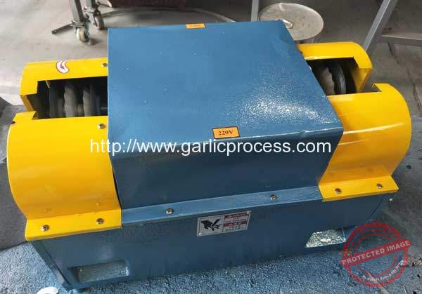Garlic-Stem-and-Root-Cutting-Machine-for-Canada
